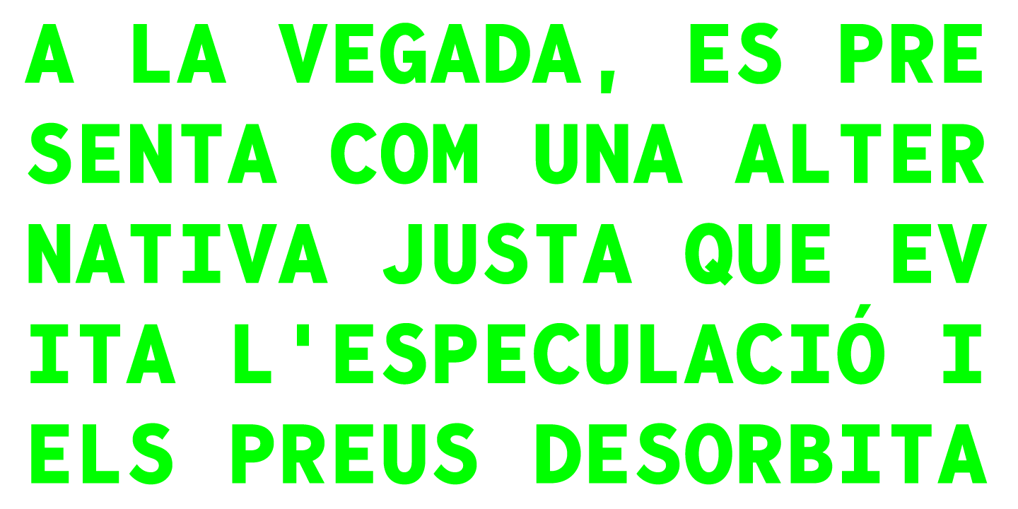 Пример шрифта Bergen Mono Italic